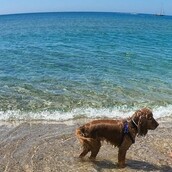 10 νέες φωτογραφίες απ' τα τέλεια ζώα των αναγνωστών μας #87