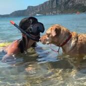 10 νέες φωτογραφίες απ' τα τέλεια ζώα των αναγνωστών μας #73
