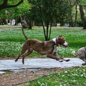 10 νέες φωτογραφίες απ' τα τέλεια ζώα των αναγνωστών μας #91