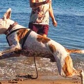 10 νέες φωτογραφίες απ' τα τέλεια ζώα των αναγνωστών μας #98
