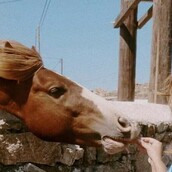30 νέες φωτογραφίες απ' τα τέλεια ζώα των αναγνωστών μας #32