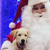 Πρωτοχρονιάτικο LIFOPETS! 30 νέες φωτογραφίες απ' τα τέλεια, γιορτινά ζώα των αναγνωστών μας