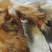 10 νέες φωτογραφίες απ' τα τέλεια ζώα των αναγνωστών μας #56