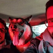 30 νέες φωτογραφίες απ' τα τέλεια ζώα των αναγνωστών μας