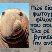 Οι Μεγάλες Αλήθειες της Πέμπτης 26/09/2019