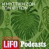 Podcast/ Για να πιάσει ένα φυτό, πρέπει να το κλέψεις