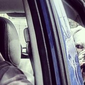 10 νέες φωτογραφίες απ' τα τέλεια ζώα των αναγνωστών μας #268