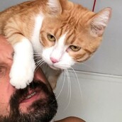 10 νέες φωτογραφίες απ' τα τέλεια ζώα των αναγνωστών μας #109