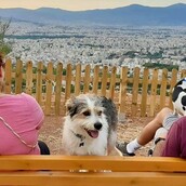 10 νέες φωτογραφίες απ' τα τέλεια ζώα των αναγνωστών μας #106