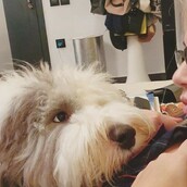 10 νέες φωτογραφίες απ' τα τέλεια ζώα των αναγνωστών μας #173
