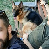 10 νέες φωτογραφίες απ' τα τέλεια ζώα των αναγνωστών μας #374