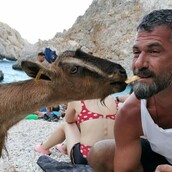 10 νέες φωτογραφίες απ' τα τέλεια ζώα των αναγνωστών μας #401