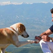 10 νέες φωτογραφίες απ' τα τέλεια ζώα των αναγνωστών μας #344