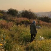 10 νέες φωτογραφίες απ' τα τέλεια ζώα των αναγνωστών μας #289