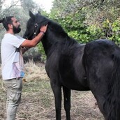 10 νέες φωτογραφίες απ' τα τέλεια ζώα των αναγνωστών μας #155