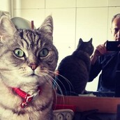 10 νέες φωτογραφίες απ' τα τέλεια ζώα των αναγνωστών μας #308
