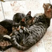 10 νέες φωτογραφίες απ' τα τέλεια ζώα των αναγνωστών μας #115