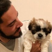 10 νέες φωτογραφίες απ' τα τέλεια ζώα των αναγνωστών μας #244