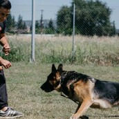 10 νέες φωτογραφίες απ' τα τέλεια ζώα των αναγνωστών μας #355