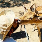 10 νέες φωτογραφίες απ' τα τέλεια ζώα των αναγνωστών μας #375
