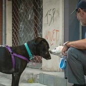 10 νέες φωτογραφίες απ' τα τέλεια ζώα των αναγνωστών μας #491