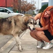 10 νέες φωτογραφίες απ' τα τέλεια ζώα των αναγνωστών μας #473