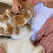 10 νέες φωτογραφίες απ' τα τέλεια ζώα των αναγνωστών μας #479