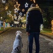 Καλά Χριστούγεννα, με 10 νέες φωτογραφίες απ' τα τέλεια ζώα των αναγνωστών μας!