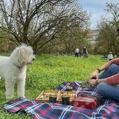 10 νέες φωτογραφίες απ' τα τέλεια ζώα των αναγνωστών μας #652