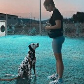 10 νέες φωτογραφίες απ' τα τέλεια ζώα των αναγνωστών μας #773