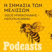 ΤΕΤΑΡΤΗ 03/11- ΕΧΕΙ ΠΡΟΓΡΑΜΜΑΣΤΕΙ-Γιατί χάνονται οι μέλισσες;