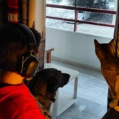 10 νέες φωτογραφίες απ' τα τέλεια ζώα των αναγνωστών μας #820