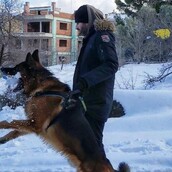 10 νέες φωτογραφίες απ' τα τέλεια ζώα των αναγνωστών μας #821