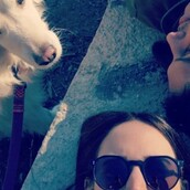 10 νέες φωτογραφίες απ' τα τέλεια ζώα των αναγνωστών μας #838