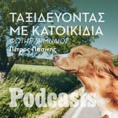 ΠΑΡΑΣKΕΥΗ 08/07 - ΕΧΕΙ ΠΡΟΓΡΑΜΜΑΤΙΣΤΕΙ-Τα μυστικά της ασφαλούς μετακίνησης με σκύλο ή γάτα