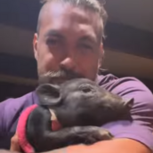 Ο Τζέισον Μομόα απέκτησε νέο κατοικίδιο- Ένα γουρούνι