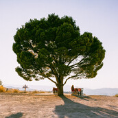 Ο τόπος μου, ο δρόμος