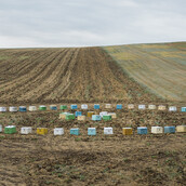 Ιστορίες του κάμπου