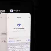 DeepSeek