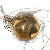 «Phytobiosomes»:Η έκθεση του Costas Picadas συνδυάζει την τέχνη με την υγεία