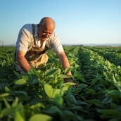 Eurostat: Οι Έλληνες εργάζονται τις περισσότερες ώρες την εβδομάδα στην Ευρώπη - Ποιοι δουλεύουν λιγότερο
