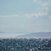Βαθιά γαλαζια θάλασσα. Ή μήπως όχι;