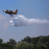Πυροσβεστική: 48 φωτιές σε δασικές και αγροτικές περιοχές καταγράφηκαν το τελευταίο 24ωρο