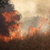 ΦΩΤΙΑ ΤΩΡΑ ΜΑΡΚΟΠΟΥΛΟ