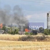 Φωτιά τώρα σε εργοστάσιο ξυλείας στις Σέρρες