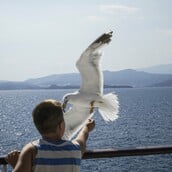 Καιρός - Τσατραφύλλιας: Δύσκολο το επόμενο 48ώρο για τη χώρα με καταβάτες ανέμους και καύσωνα