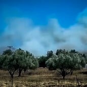 Σε ύφεση η φωτιά στο Αλιβέρι: Πως ξεκίνησε – Συνελήφθη ένας 60χρονος
