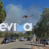 Αλιβέρι: Μία σύλληψη για την φωτιά - Σε πλήρη εξέλιξη η επιχείρηση κατάσβεσης