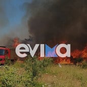 Φωτιά στο Αλιβέρι: «Η φωτιά είναι κοντά σε σπίτια» λέει ο αντιδήμαρχος