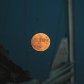 Γιατί η πανσέληνος του Αυγούστου ονομάζεται «φεγγάρι του Οξύρρυγχου»